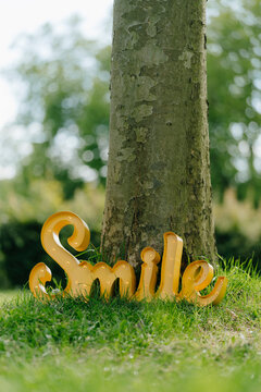 Smile sign leaning on tree trunk