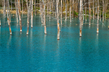 Hokkaido, Aoi Ike in Daisetsuzan National Park