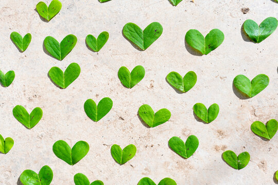 Nature Green Heart Images – Browse 261,659 Stock Photos, Vectors, and Video | Adobe Stock Nature Green Heart Images – Browse 261,659 Stock Photos, Vectors, and Video | Adobe Stock