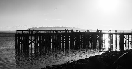 Sunset at Garibaldi wharf in black and white