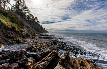 Fototapeta na wymiar Oregon coast line with trees and rocks
