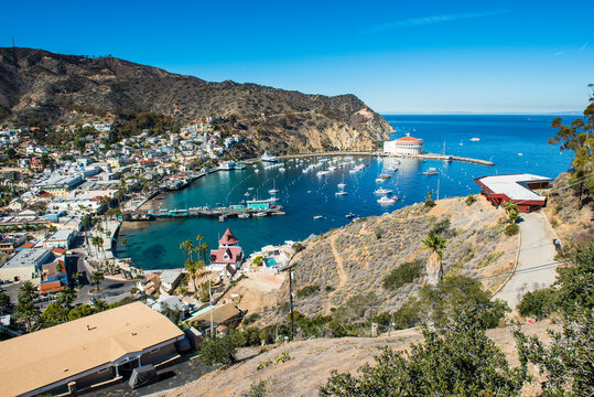 USA, California, Channel islands, Santa Catalina Island, Avalon, view to harbour