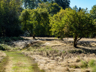 Photo from Bothell, Washington