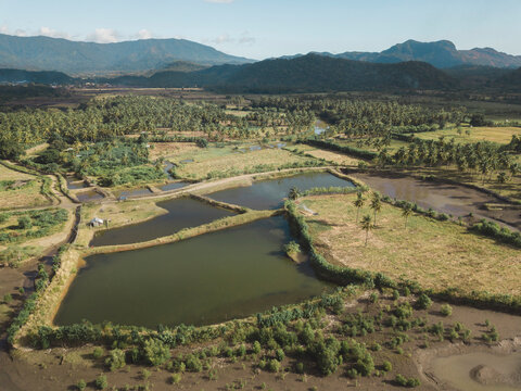 Indonesia, West Sumbawa, Maluk, Aerial view of fields