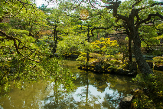 Japan, Kyoto, nature arround Ginkaku-ji Temple