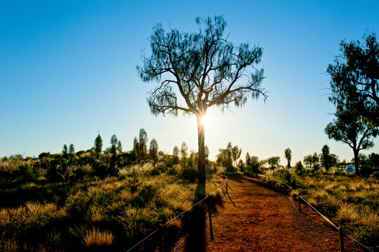 Uluru, Way to Ayers Rock, Northern Territory, Australia