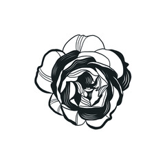 Graphic linear drawing of flower. Bud. Sketch of a tattoo. Floral element. 