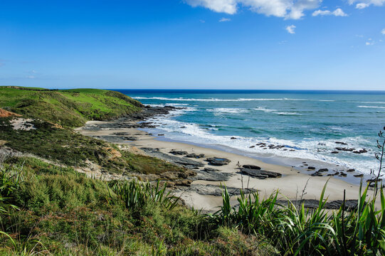 Beautiful coastline in the Arai-Te-Uru Recreation Reserve, Hokianga harbour, Westcoast Northland, North Island, New Zealand