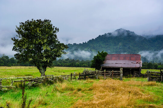 Old farm in a moody atmosphere, West Coast around Haast, South Island, New Zealand