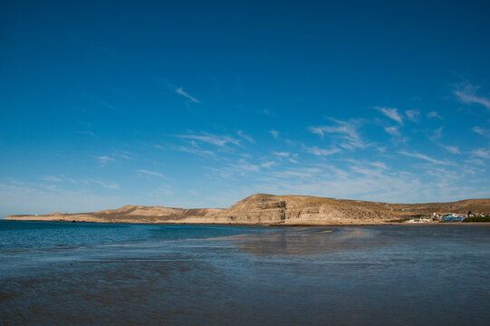 Valdes Peninsula, Argentina, South America