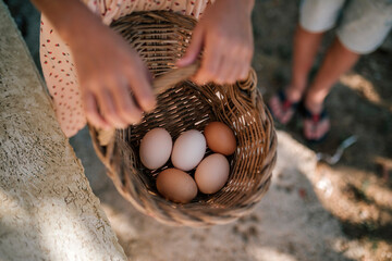 Girl holding basket of eggs in chicken farm