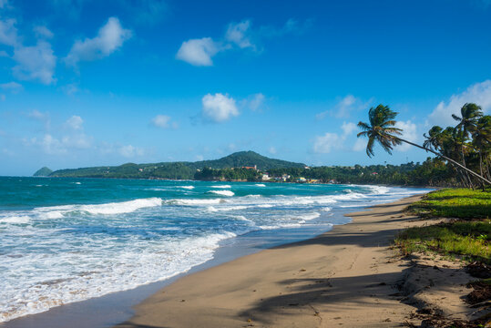 Scenic view of beach against blue sky at Sauteurs, Grenada, Caribbean