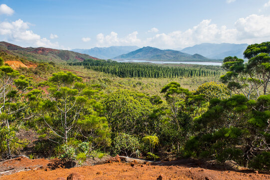 Scenic view of Blue River Provincial Park against sky, Yate, New Caledonia