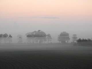 Obraz premium misty morning on the river