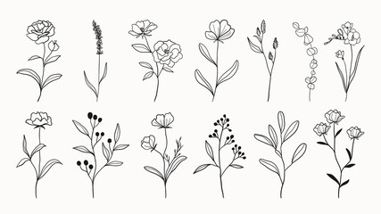 Botanical arts. Hand drawn continuous line drawing of abstract flower, floral, ginkgo, rose, tulip, bouquet of olives. Vector illustration. 