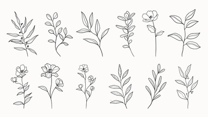 Arts botaniques. Dessin au trait continu dessiné à la main de fleur abstraite, floral, ginkgo, rose, tulipe, bouquet d& 39 olives. Illustration vectorielle.
