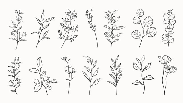 Botanical arts. Hand drawn continuous line drawing of abstract flower, floral, ginkgo, rose, tulip, bouquet of olives. Vector illustration.

