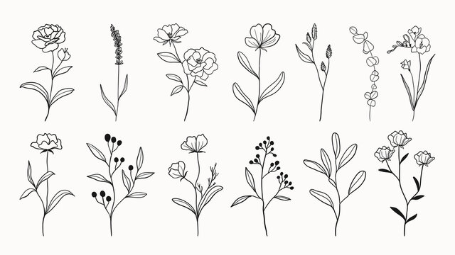 Flower Sketch Vector Images (over 170,000)