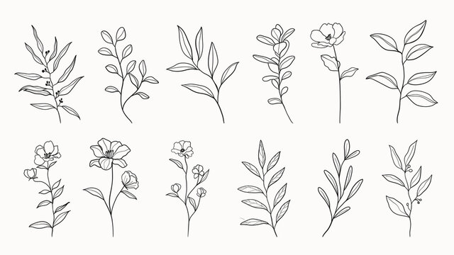 Botanical arts. Hand drawn continuous line drawing of abstract flower, floral, ginkgo, rose, tulip, bouquet of olives. Vector illustration.
