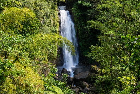 Scenic view of Trafalgar Falls at Morne Trois Pitons National Park, Dominica, Caribbean