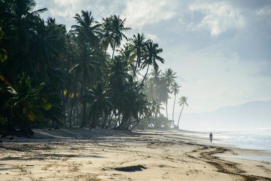 Tourist walking at Coson beach, Las Terrenas, Dominican Republic