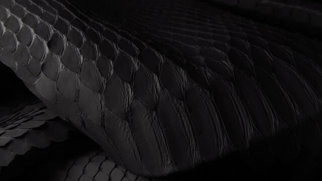 Light moving over snake skin with black scales, close up of texture