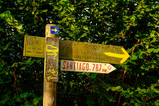 Spain, Gipuzkoa, San Sebastian, Signpost along Way of Saint James