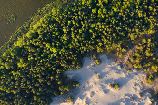 Poland, Pomerania, Leba, Overhead view of sand dune and trees at Slowinski National Park