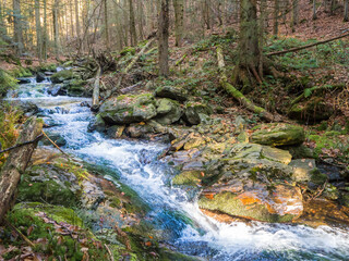 Clear stream flowing in Bavarian Forest