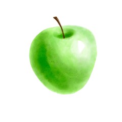 drawing green apple, fruit at white background, hand drawn illustration