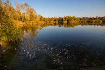 Autumn lake