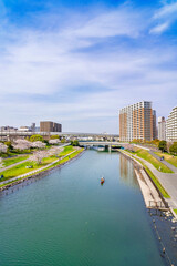 Fototapeta na wymiar 桜咲く大島小松川公園・もみじ大橋から旧中川の眺望（2021年3月）