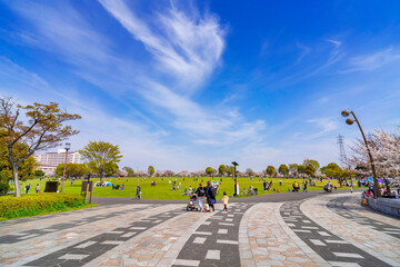 桜咲く大島小松川公園・自由の広場の風景（2021年3月）