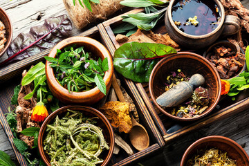 Healing herbs,herbal medicine