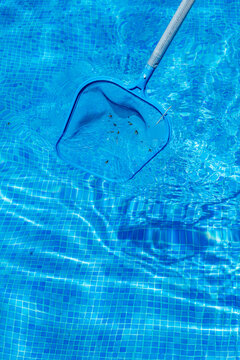 High Angle View Of Swimming Pool Cleaning With Net During Sunny Day