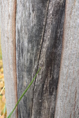texture