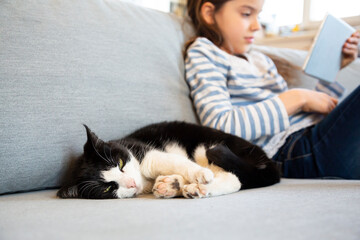 Portrait of cat snoozing on couch with girl using digital tablet in the background