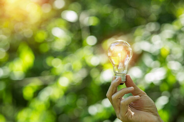Light bulbs that grow, in the concept of energy in nature.