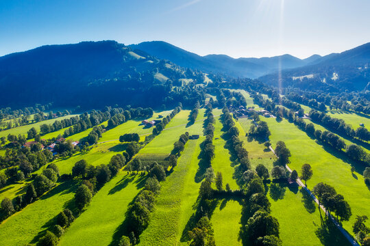 Nature reserve hedgerow landscape Gaissach, Lenggries, Isarwinkel, Upper Bavaria, Bavaria, Germany
