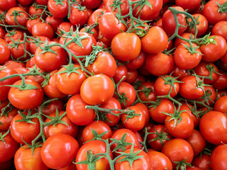 A heap of delicious vegetable tomato a pile in a grocery.