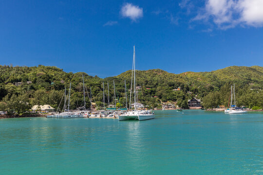 Seychelles, Praslin Island, Sailboats moored in marina