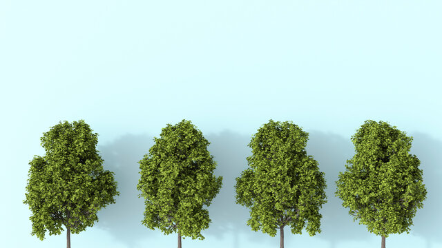 3D rendering, Row of summer trees