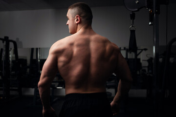 Fototapeta na wymiar Portrait of a beautiful male athlete bodybuilder in gym, low key, darkness. Posing, coach. back