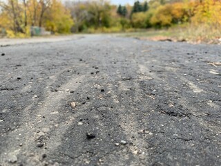 fresh asphalt close up against the background of autumn, yellow trees