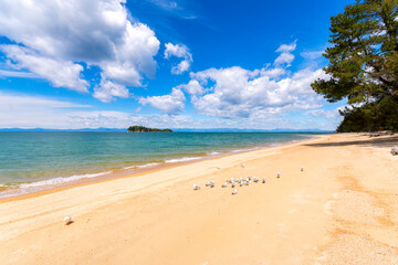 Birds perching on sea shore during sunny day at Abel Tasman Coastal Track, South Island, New Zealand