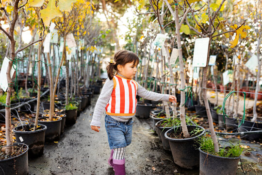 Little girl exploring potted trees in plant nursery