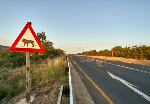 Beware of lions sign at the roadside, Marloth Park, South Africa