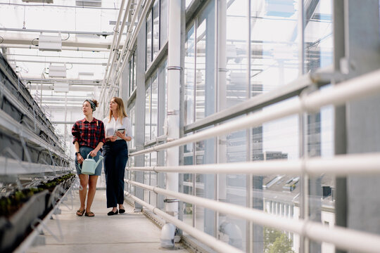Gardener and businesswoman standing in greenhouse of a gardening shop
