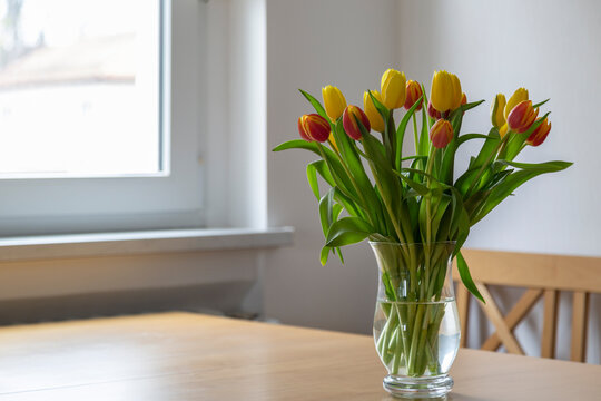 Bouquet of red and yellow tulips on dining table