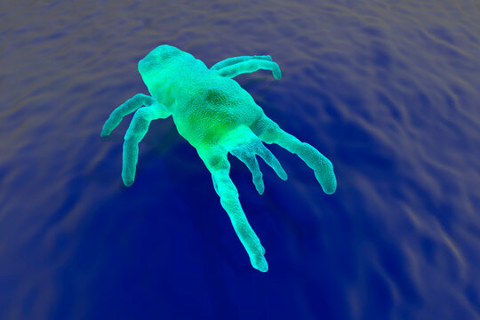3D Rendered Illustration, visualisation of a mite